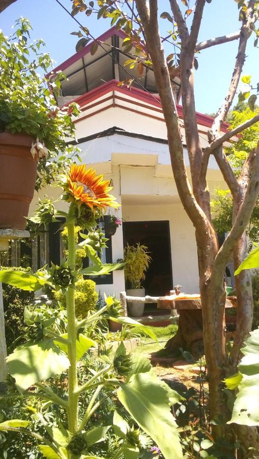 נוארה אליה Redwood Homestay מראה חיצוני תמונה