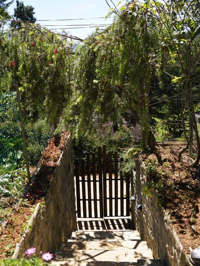 נוארה אליה Redwood Homestay מראה חיצוני תמונה