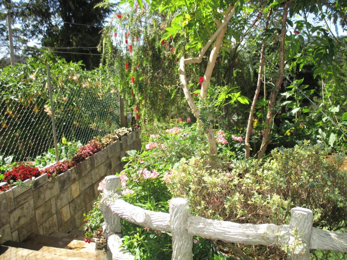 נוארה אליה Redwood Homestay מראה חיצוני תמונה