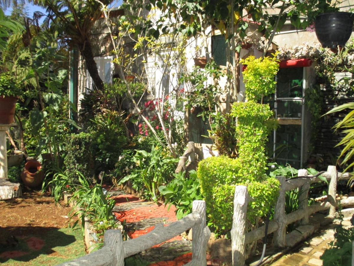 נוארה אליה Redwood Homestay מראה חיצוני תמונה